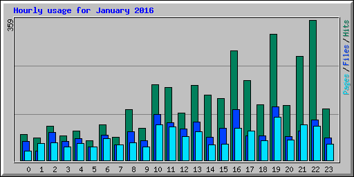 Hourly usage for January 2016