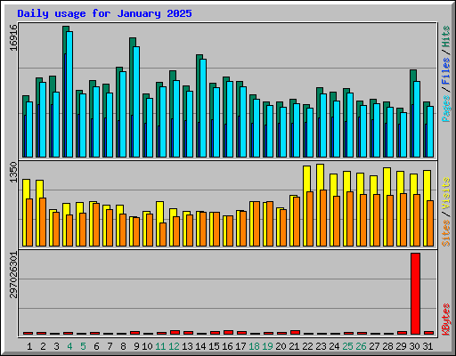 Daily usage for January 2025