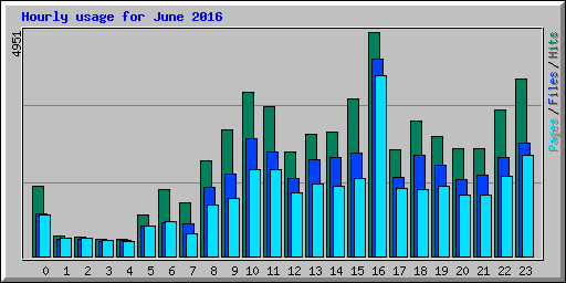 Hourly usage for June 2016