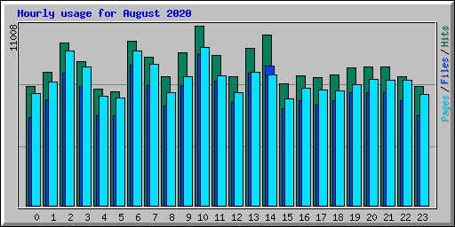 Hourly usage for August 2020