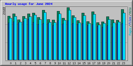 Hourly usage for June 2024