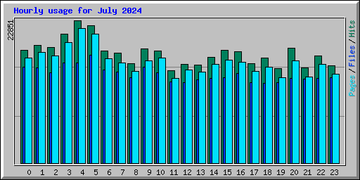 Hourly usage for July 2024