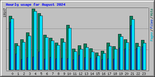 Hourly usage for August 2024
