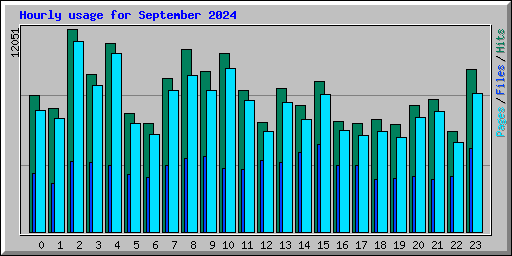 Hourly usage for September 2024