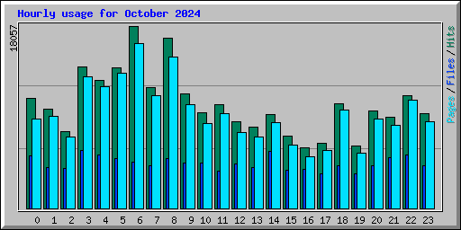 Hourly usage for October 2024