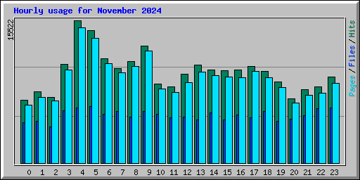 Hourly usage for November 2024
