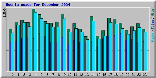 Hourly usage for December 2024