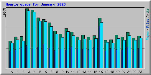Hourly usage for January 2025