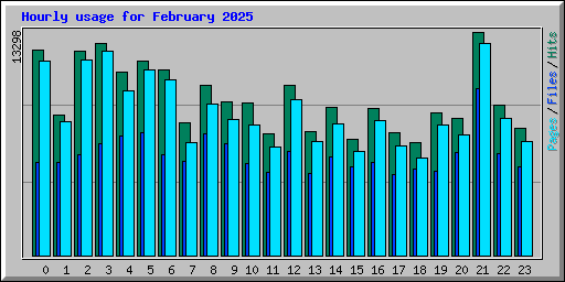 Hourly usage for February 2025