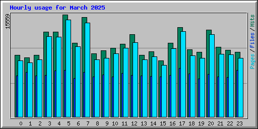 Hourly usage for March 2025