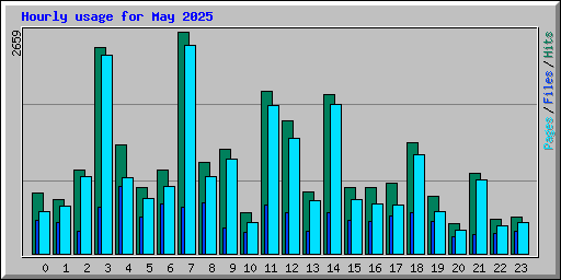 Hourly usage for May 2025