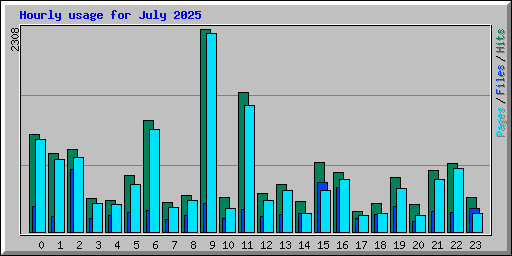 Hourly usage for July 2025