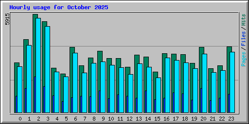 Hourly usage for October 2025