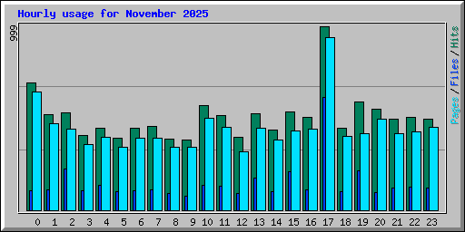 Hourly usage for November 2025