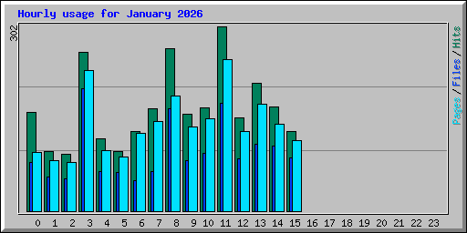 Hourly usage for January 2026