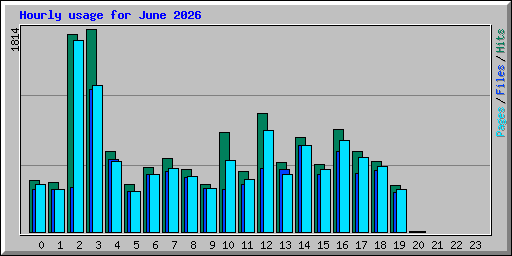 Hourly usage for June 2026