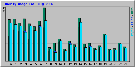 Hourly usage for July 2026